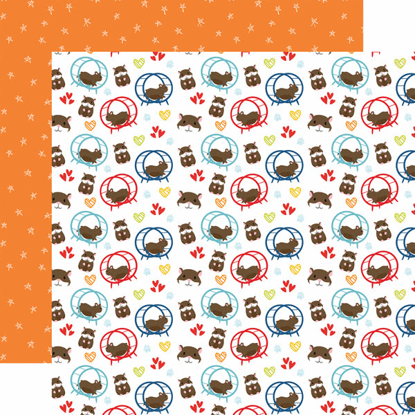 Animals