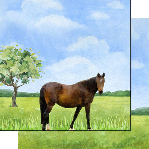 Animals Horse Scrapbook Paper
