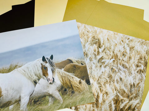 Printed Paper Custom Pack Horses