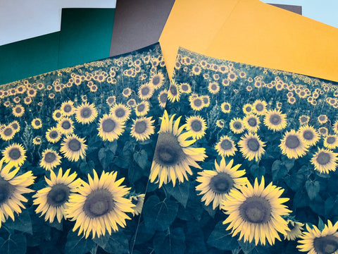 Printed Paper Custom Pack Sunflowers