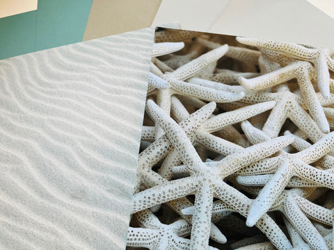 Printed Paper Custom Pack Beach Starfish